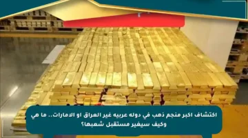 اكتشاف أكبر منجم ذهب في دولة عربية غير العراق أو الإمارات.. ما هي وكيف سيغير مستقبل شعبها؟